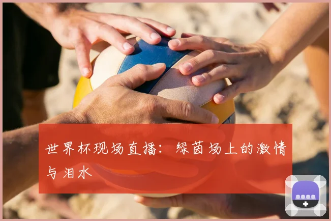 世界杯现场直播：绿茵场上的激情与泪水