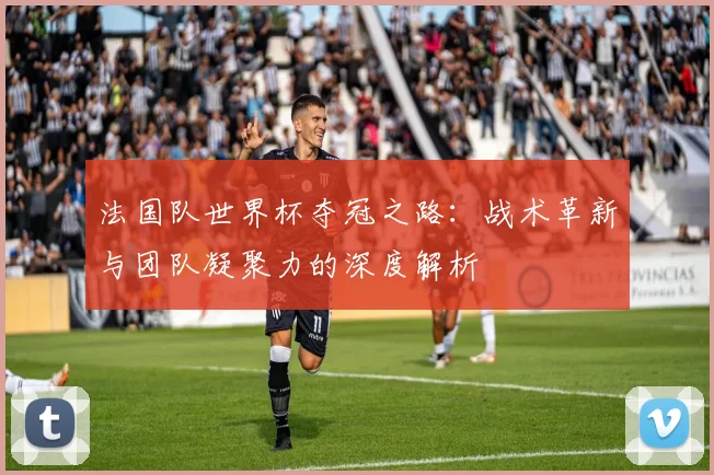 法国队世界杯夺冠之路：战术革新与团队凝聚力的深度解析