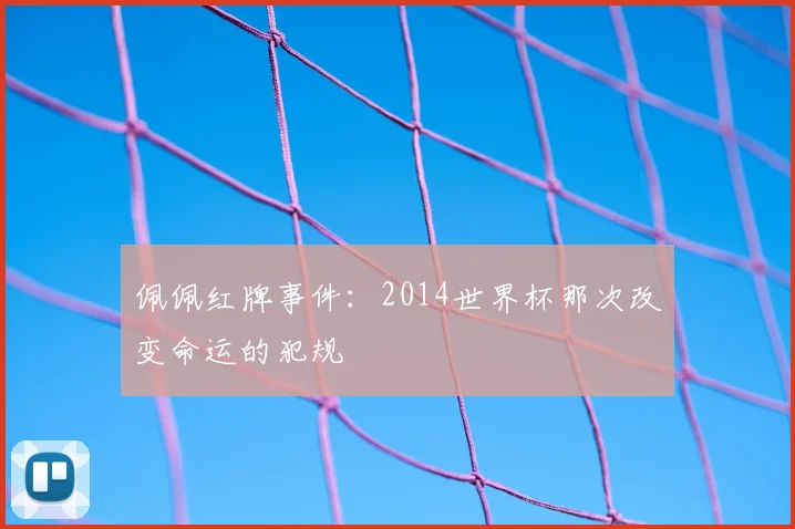 佩佩红牌事件：2014世界杯那次改变命运的犯规