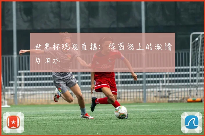 世界杯现场直播：绿茵场上的激情与泪水