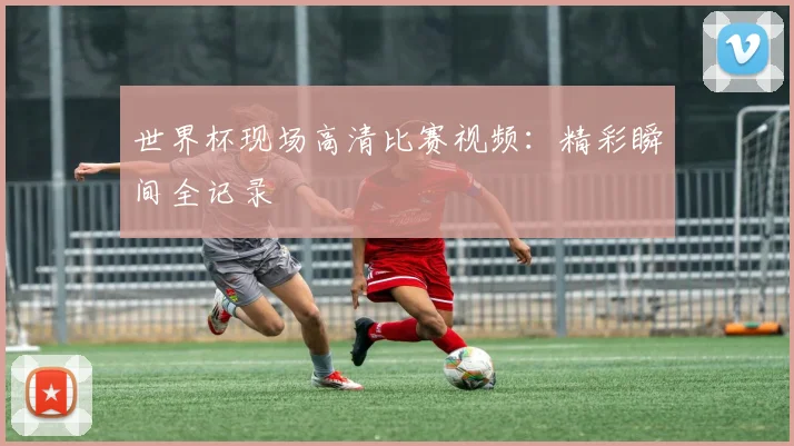 世界杯现场高清比赛视频：精彩瞬间全记录