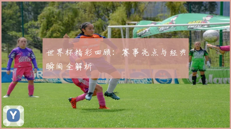 世界杯精彩回顾：赛事亮点与经典瞬间全解析