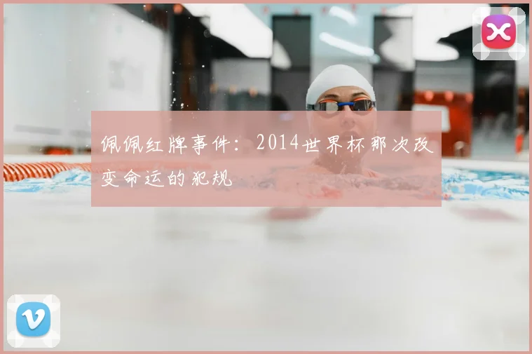 佩佩红牌事件：2014世界杯那次改变命运的犯规