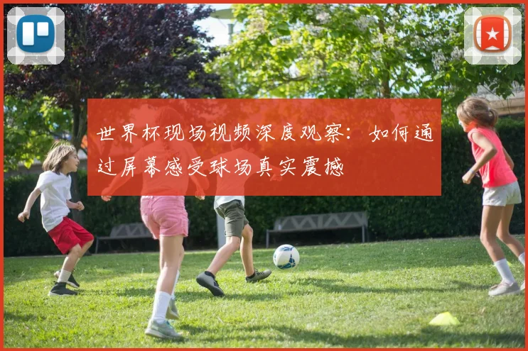世界杯现场视频深度观察：如何通过屏幕感受球场真实震撼