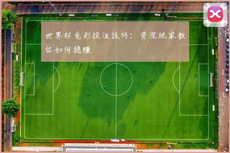 世界杯竞彩投注技巧:资深玩家教你如何稳赚