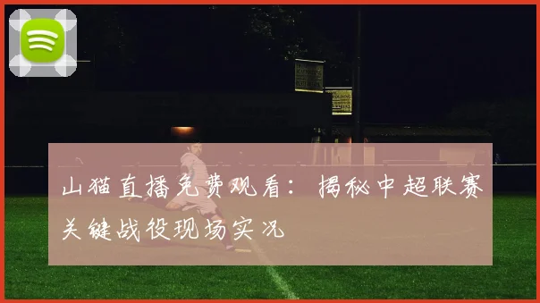 山猫直播免费观看：揭秘中超联赛关键战役现场实况